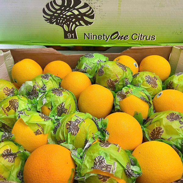 Cam Nam Phi Nhập Khẩu - Ảnh 5