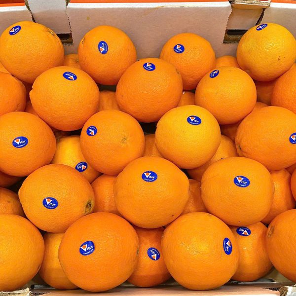 Cam Úc Nhập Khẩu - Ảnh 2