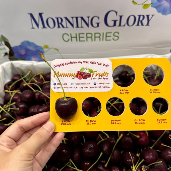 Cherry Canada Nhập Khẩu - Ảnh 2