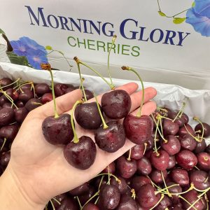 Cherry Canada Nhập Khẩu
