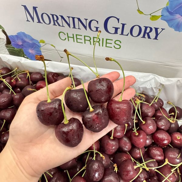 Cherry Canada Nhập Khẩu