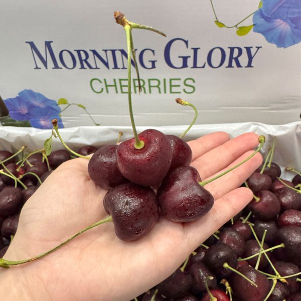 Cherry Canada Nhập Khẩu - Ảnh 4