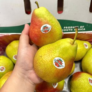 Lê Nam Phi Nhập khẩu