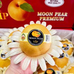 Lê Nâu Nhập khẩu