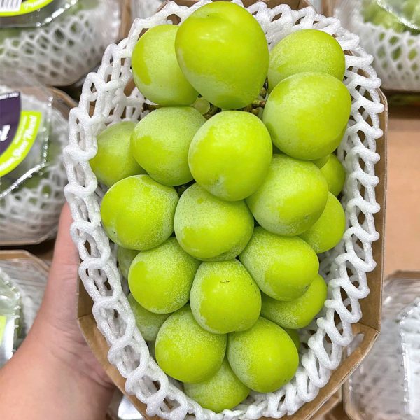 Nhỏ Mẫu Đơn Hàn Quốc Nhập Khẩu - Ảnh 2