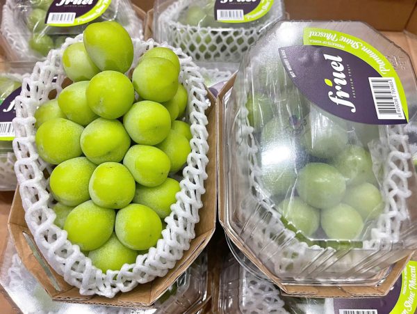 Nhỏ Mẫu Đơn Hàn Quốc Nhập Khẩu - Ảnh 5