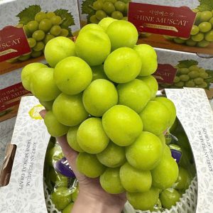 Nhỏ Mẫu Đơn Hàn Quốc Nhập Khẩu